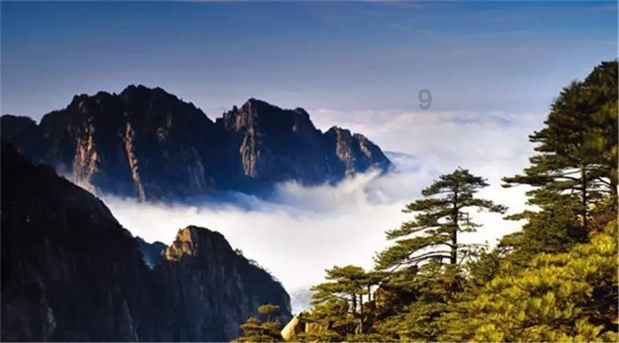 助力乡村振兴，“谦礼之尧”区域公用品牌走进长三角