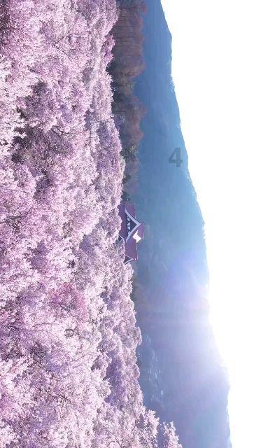 办理建筑公司资质