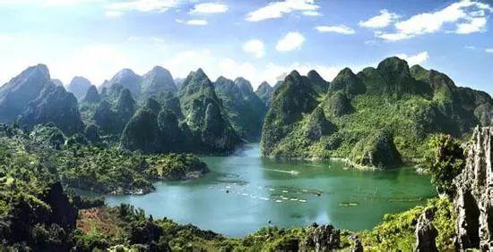 植物大战僵尸15