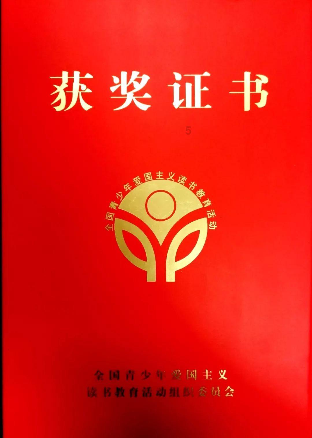 疯狂的小偷