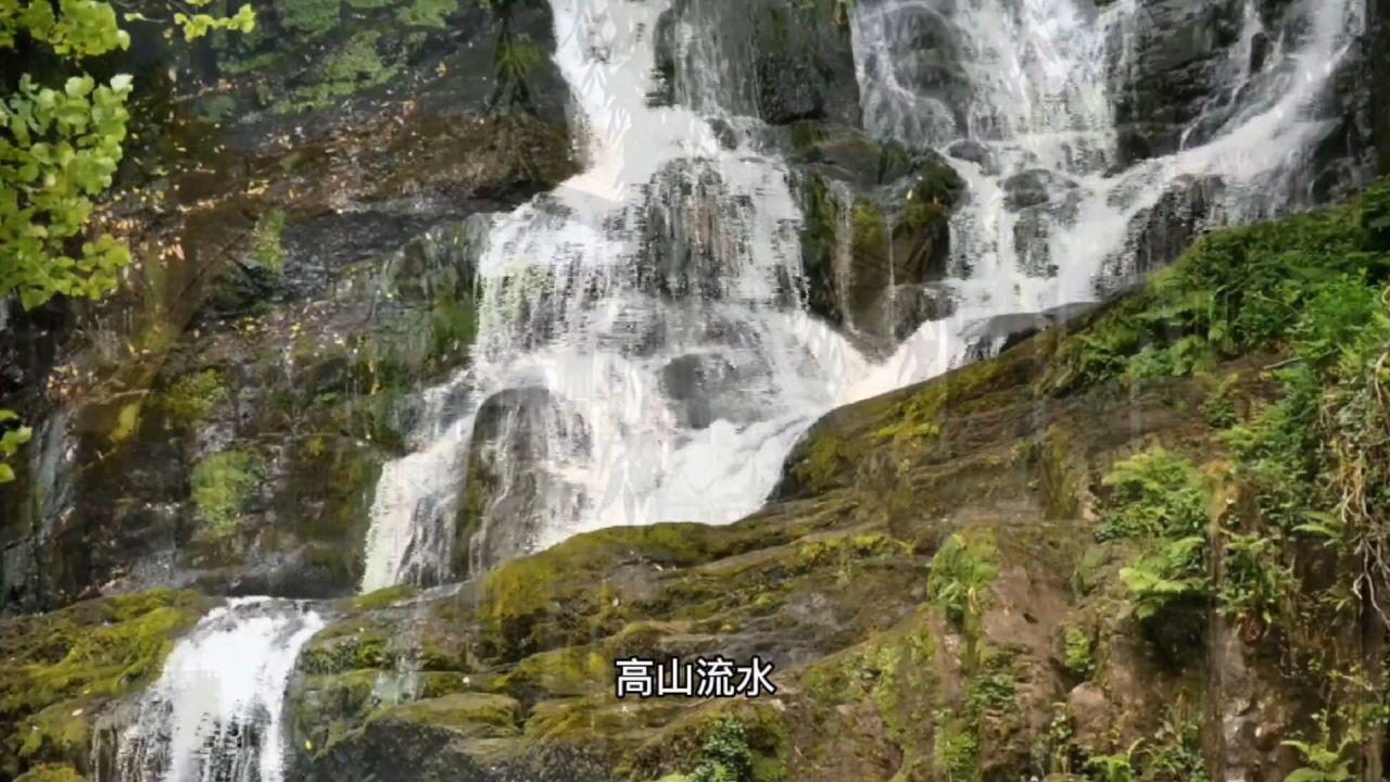 老爹寿司店