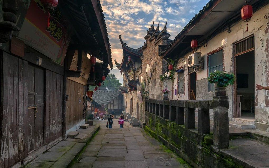 逃离白鸽之森